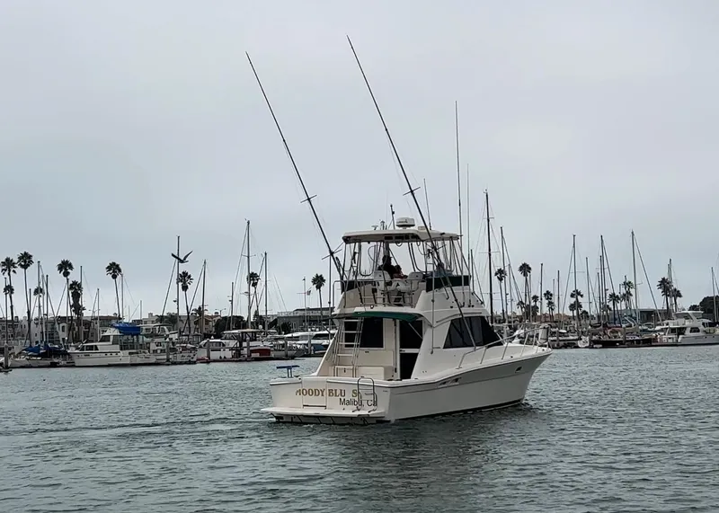 1994 Riviera 36 CONVERTIBLE