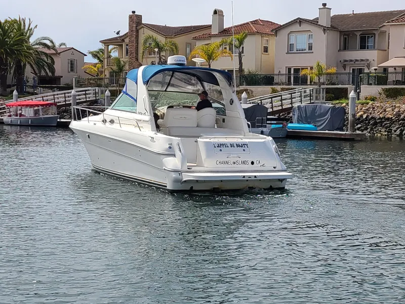 2001 Sea Ray Sundancer 310