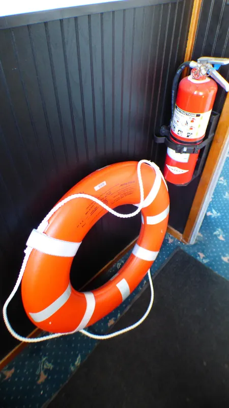 1990 Ferry Steiner Passenger