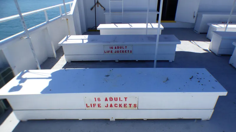 1990 Ferry Steiner Passenger