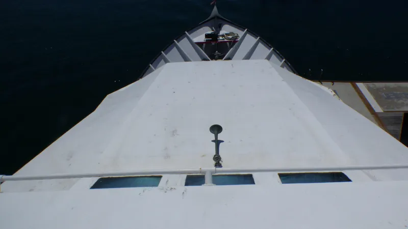 1990 Ferry Steiner Passenger