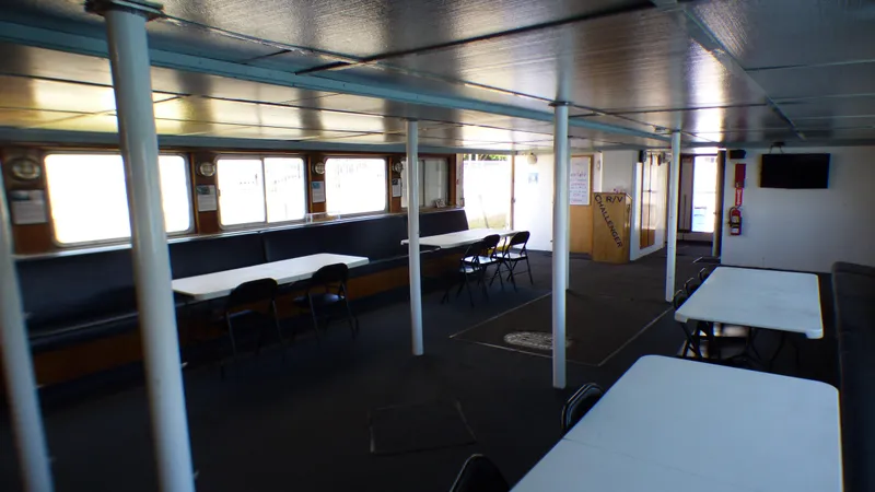 1990 Ferry Steiner Passenger