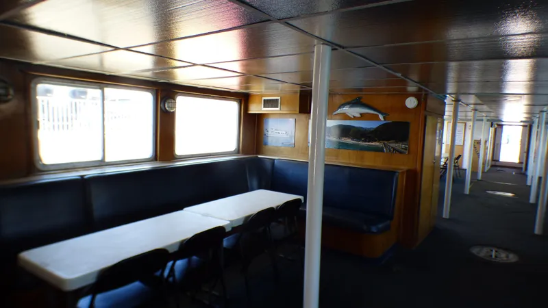 1990 Ferry Steiner Passenger