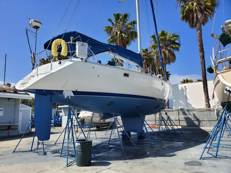 Hull Buffed and Wax June 2019