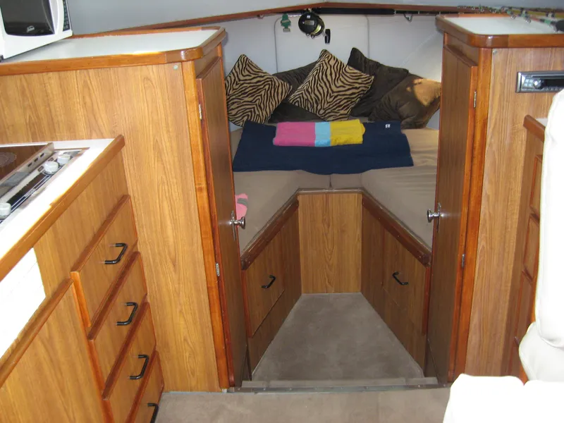 Salon & V-Berth