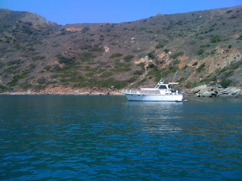 1982 Roughwater 41