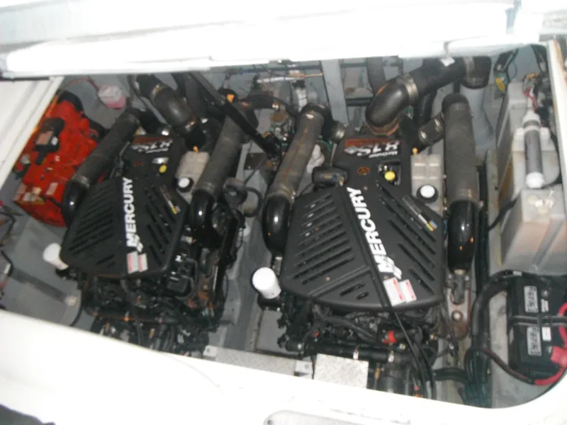 Mercrusier 8.1L Horizons
