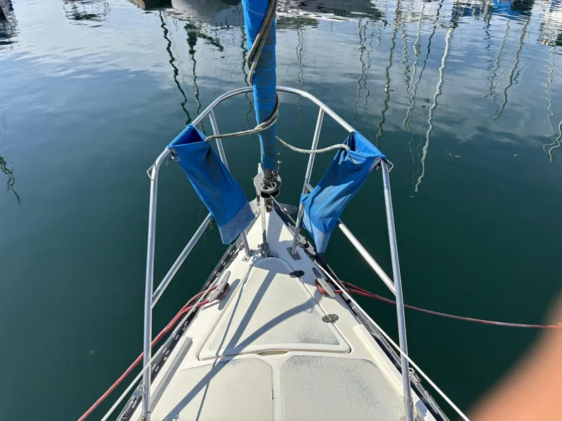 Bow of 1985 Newport 30 sailboat with blue sail cover, docked in calm water.