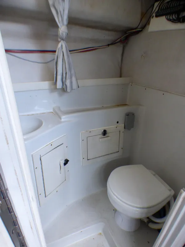 Head w/ Electric Toilet