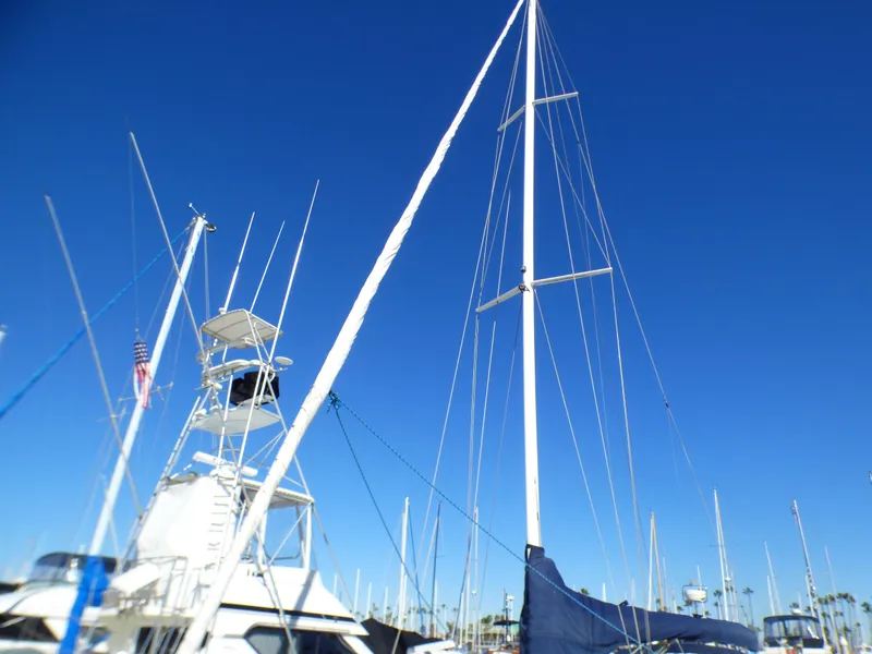 Head Sail and Main Sail