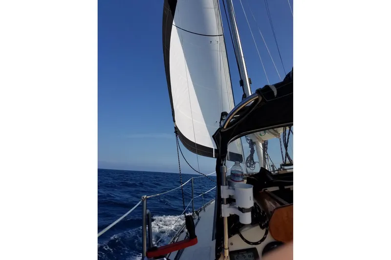 Sailing on a 1977 Custom Bodega 30 yacht with white sails against a clear blue sky.
