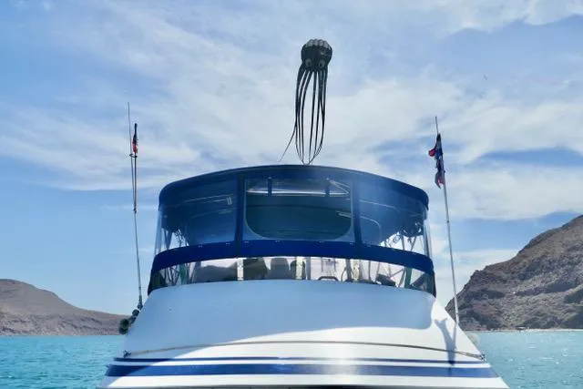 1988 Sea Ranger 46 Trawler