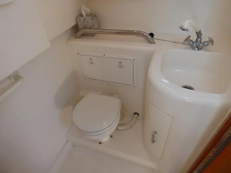 Electric toilet