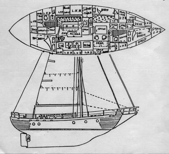 Layout / Line Drawing