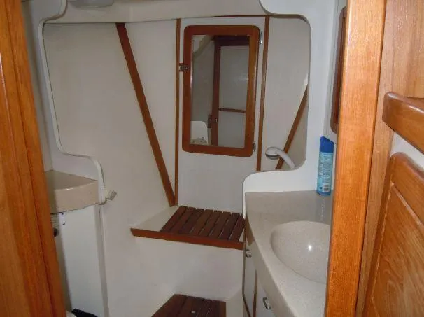 Forward Shower