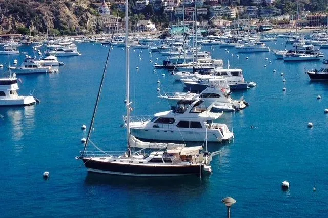 Tartini in Avalon