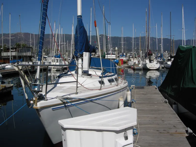 Port Bow
