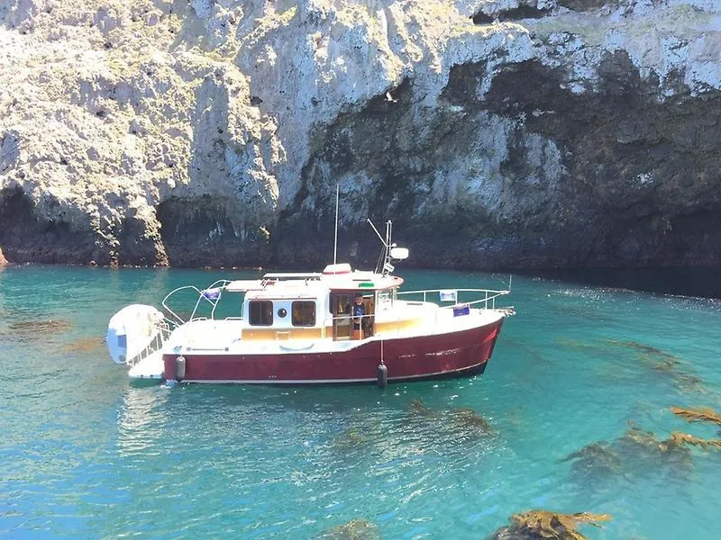 2011 Ranger Tugs R-29