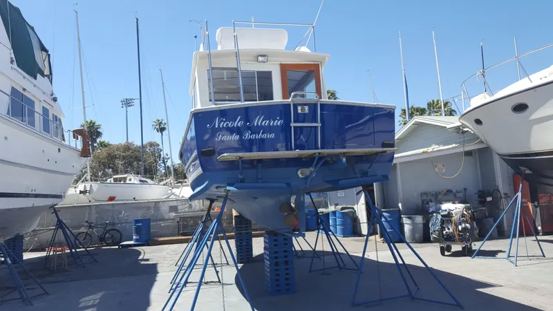 Stern in yard