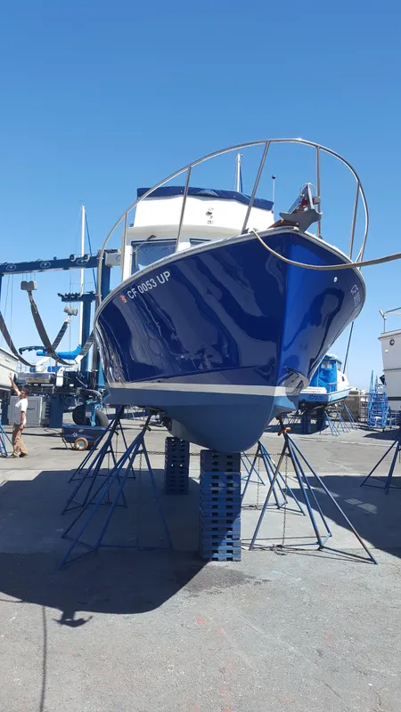 Bow in yard