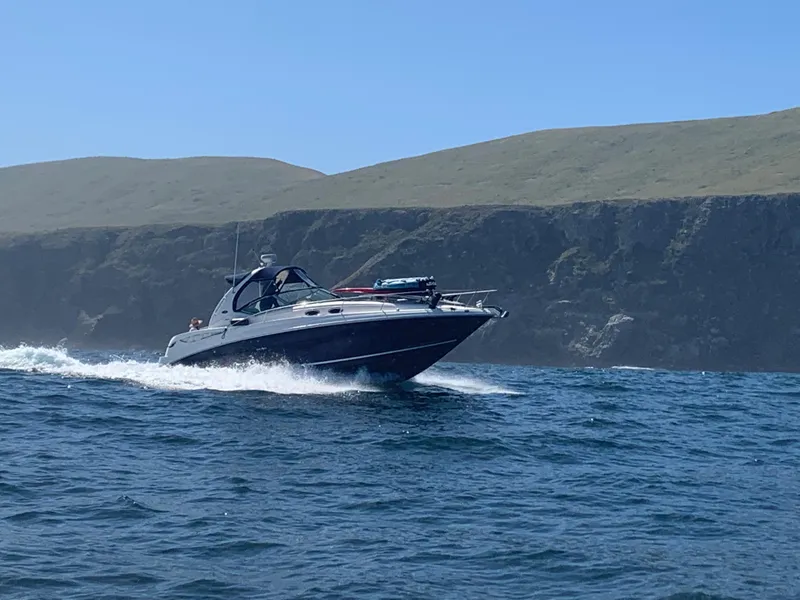 2005 Sea Ray Sundancer 320