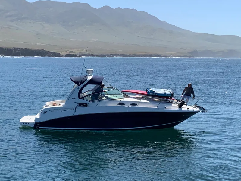 2005 Sea Ray Sundancer 320