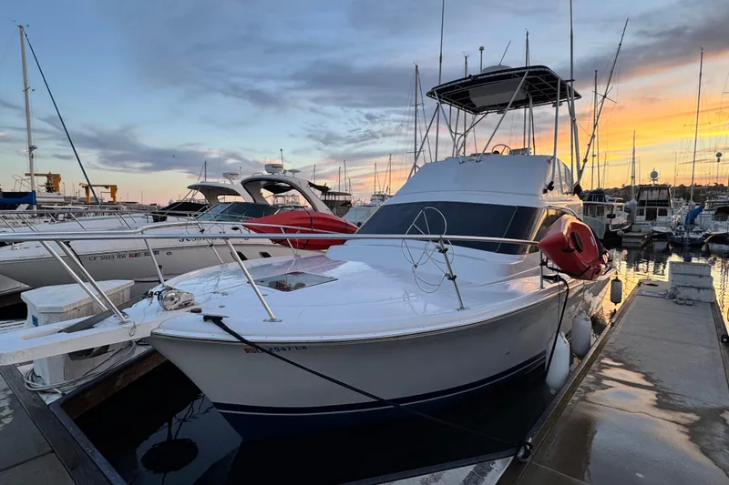 1998 Luhrs Tournament 320 Convertible yacht docked at sunset in a marina.