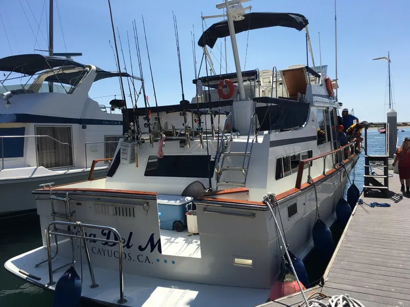 Ready for Fishing