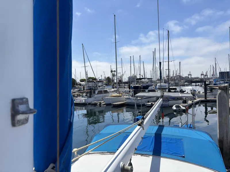 Sailboats docked at a marina under a clear blue sky, featuring a 1973 CAL 246.