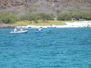 Two kayaks on blue water near a sandy beach with greenery, CAL 246, 1973.