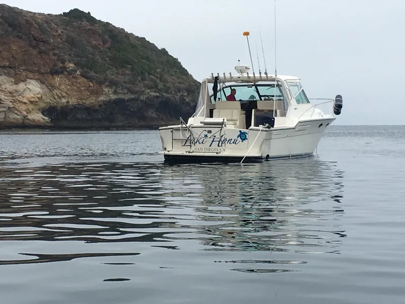 1989 Tiara Yachts 3600 Open