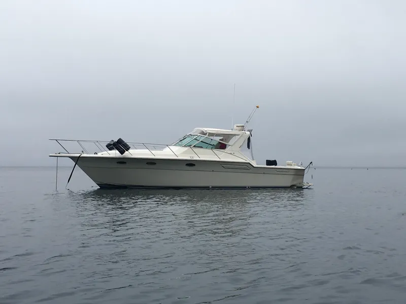 Tiara 3600