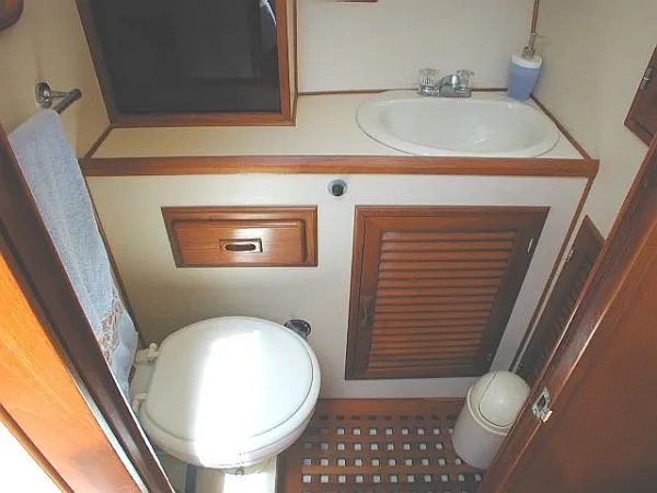 Forward Head Compartment