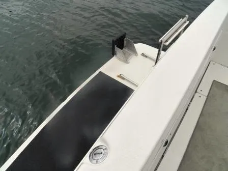 STERN PLATFORM WITH LADDER