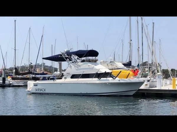 At the Dock