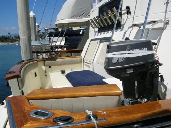 aft cockpit transom door