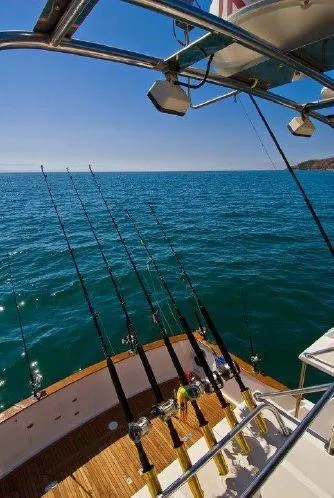 1998 Bluewater Yachts Sportfisher