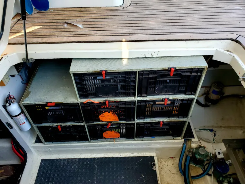 Storage boxes