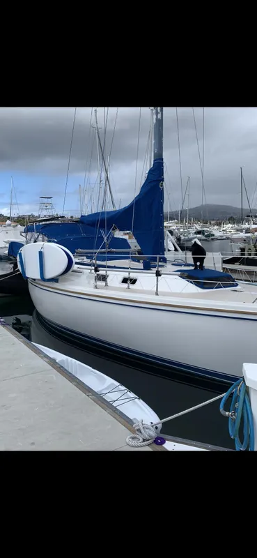 1985 Catalina 36 MK1 sailboat docked at marina with blue sail cover.