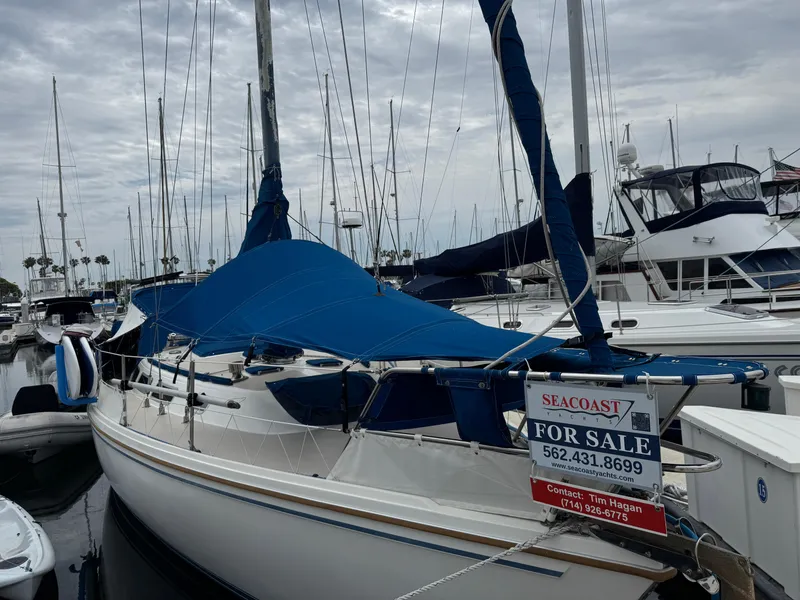 1985 Catalina 36 MK1 sailboat for sale, docked at marina with blue cover.