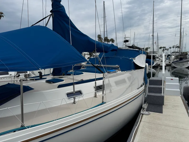 1985 Catalina 36 MK1 sailboat docked with blue covers and overcast sky.
