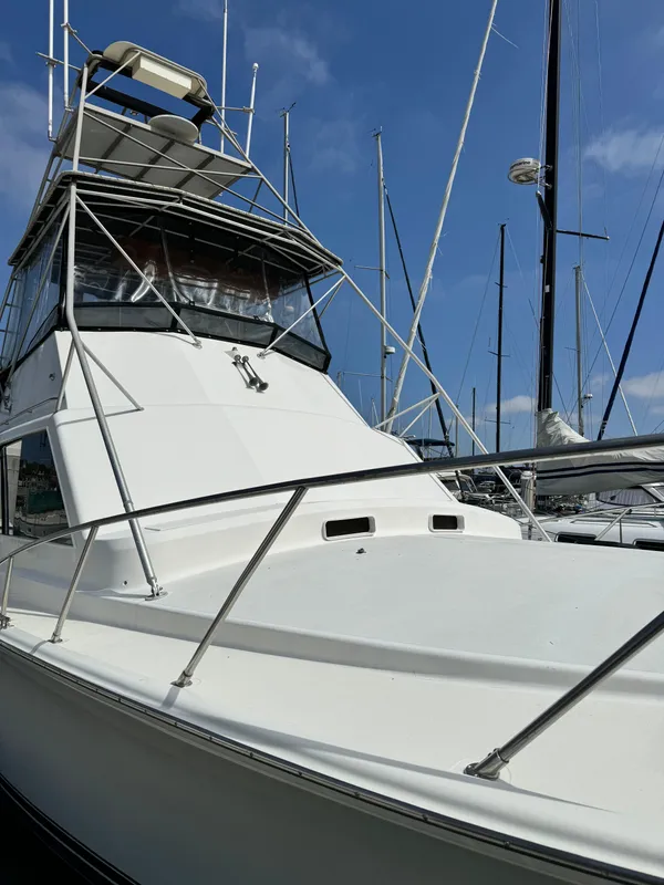 1979 Ocean Yachts 40 Super Sport