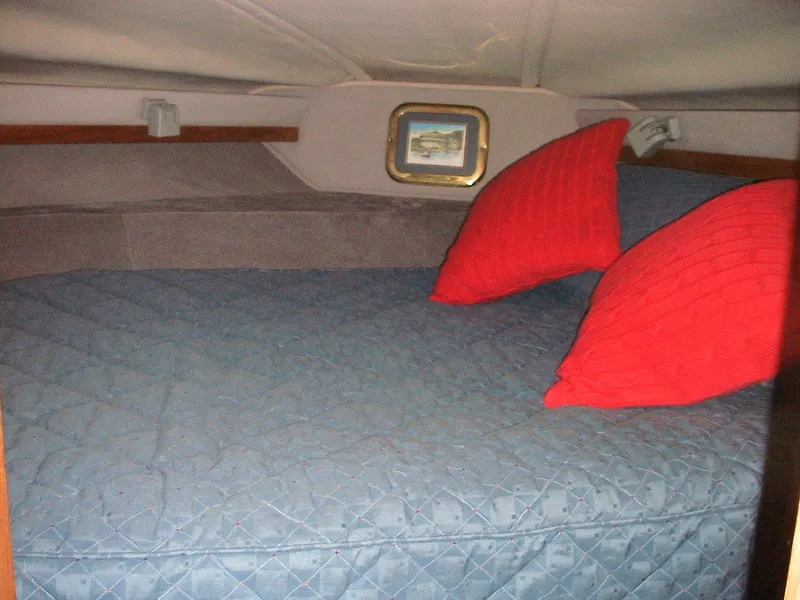 1990 Regal Commodore
