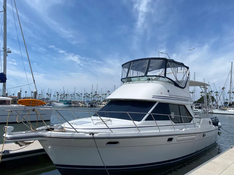 Port Bow