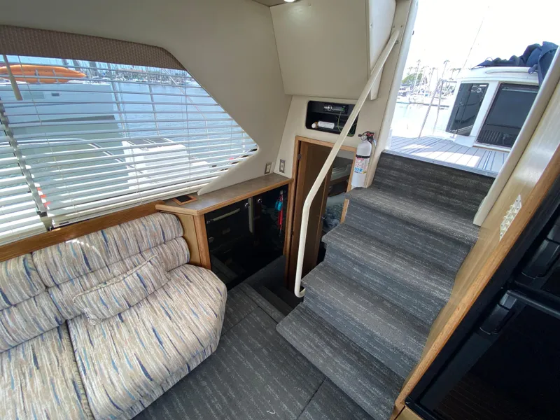 Stairs with new carpet