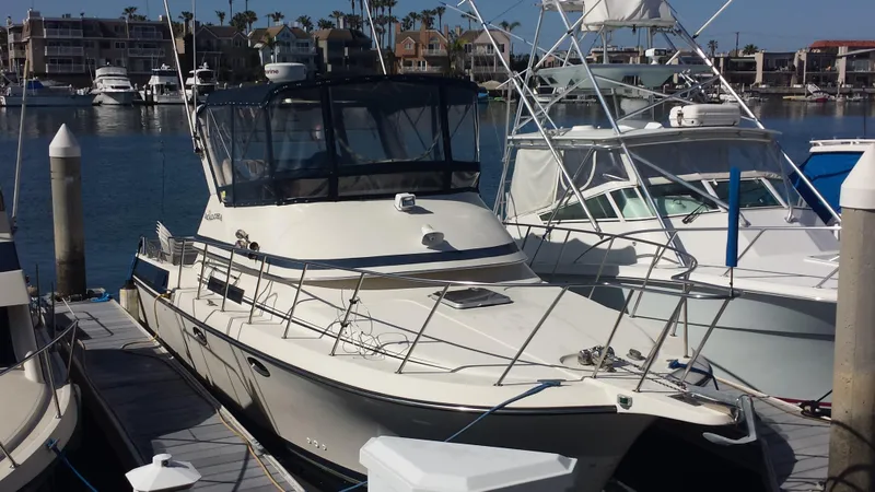 1989 Navigator 336