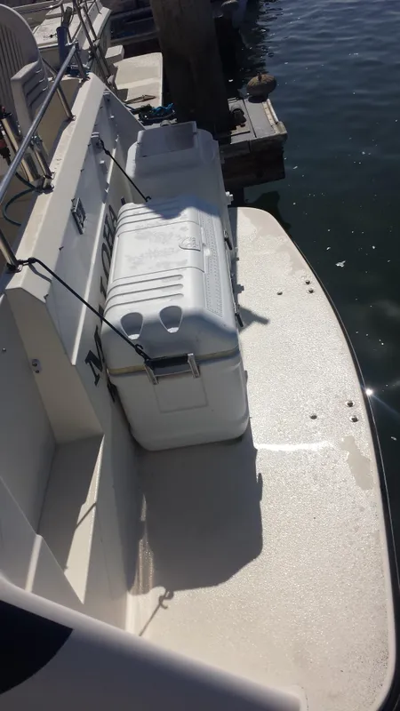 Large Moulded-In Swim Step w/ "Walk-Thru" Transom Door