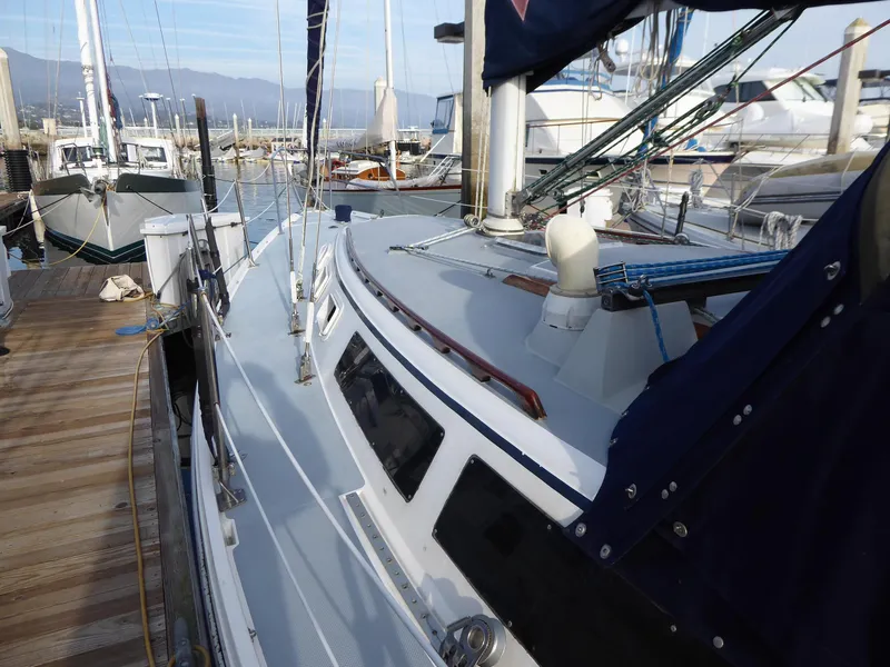 Deck View