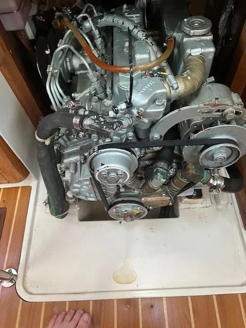 Engine compartment of a 2002 Catalina 350 sailboat, showcasing mechanical components and hoses.
