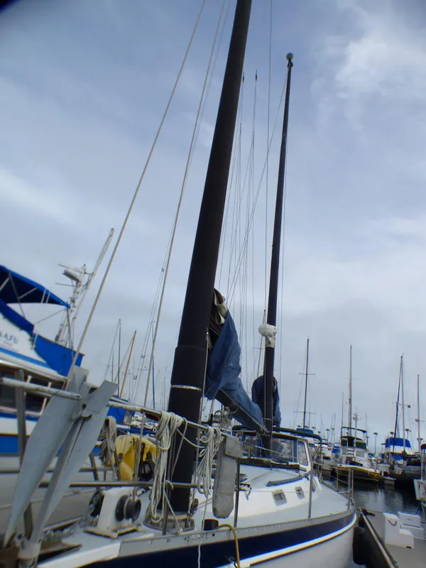 1985 Freedom Cat Ketch